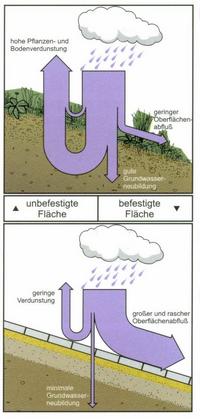 Regenwasser-Bewirtschaftung