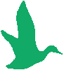 Ente im Bürger- und Umweltforum-Logo